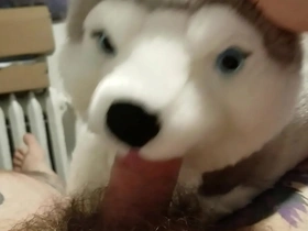 Blowjob from my plushie husky and finished with a masturbation